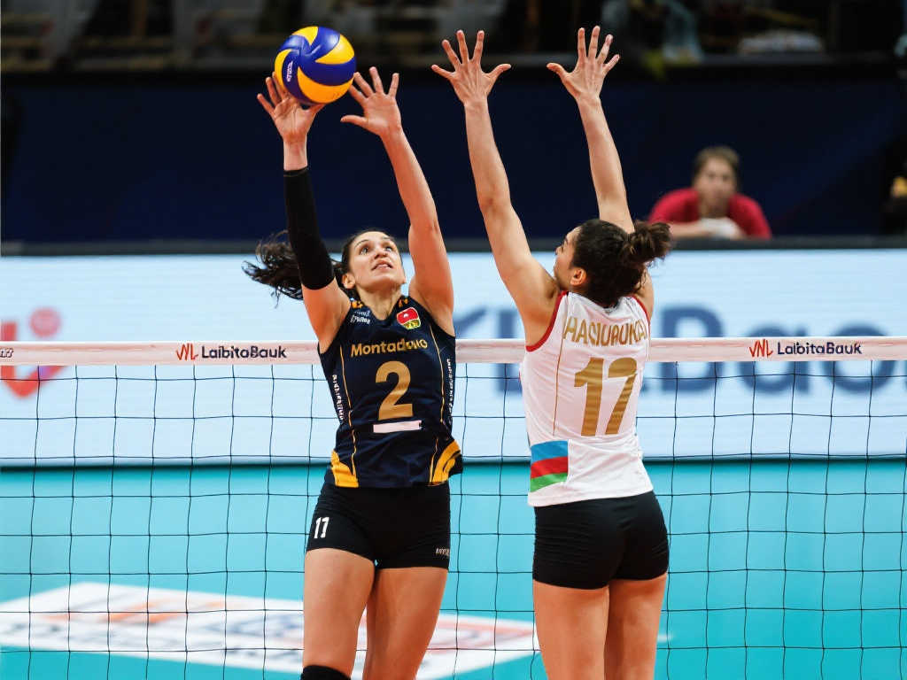 但他同样有 但他同样有